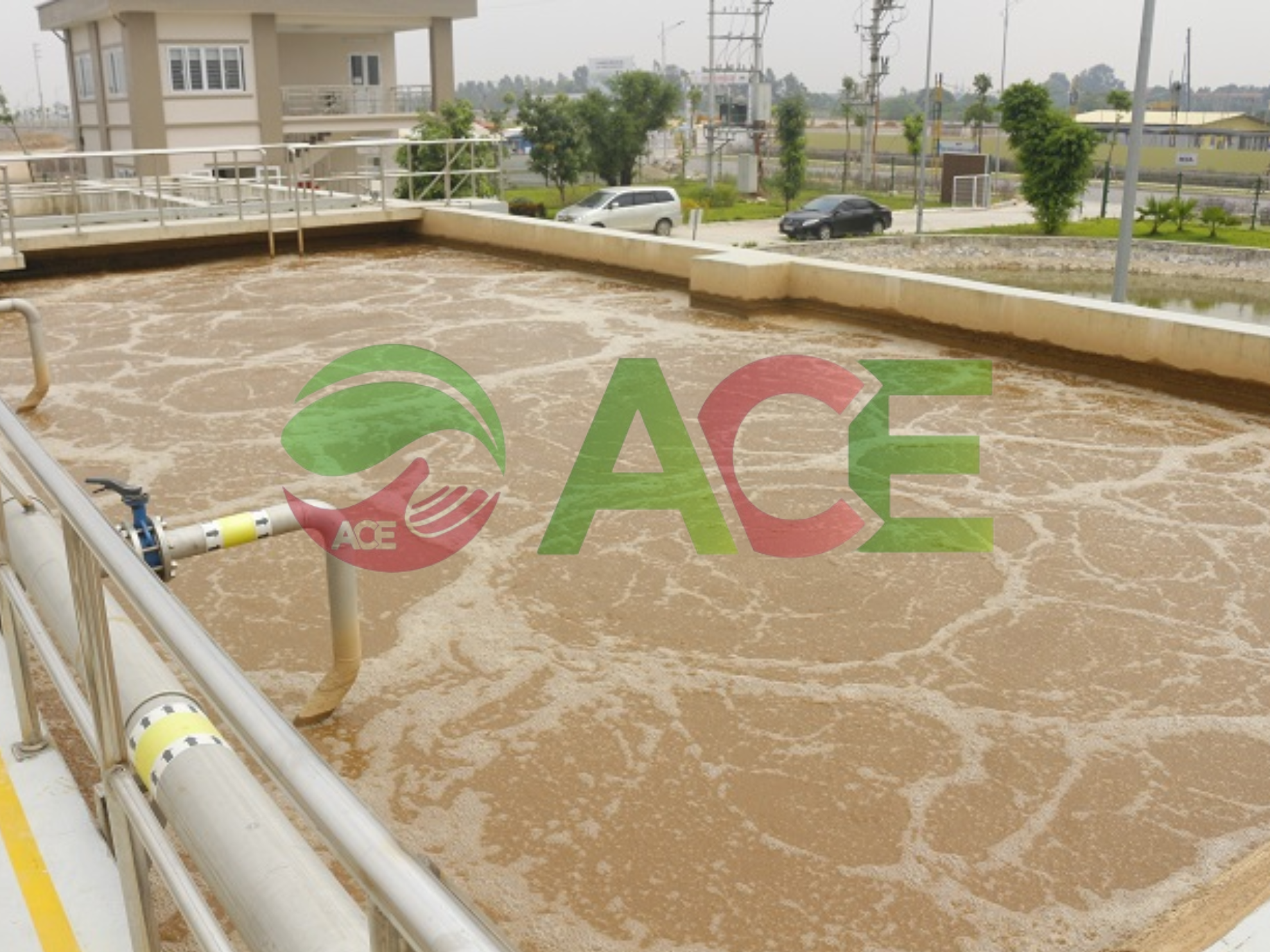 Các yếu tố ảnh hưởng đến hoạt động của vi sinh vật trong các bể sinh học 